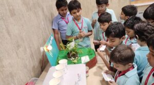 Cambridge Curriculum Developing the Skills Your Child Needs for Future Success
